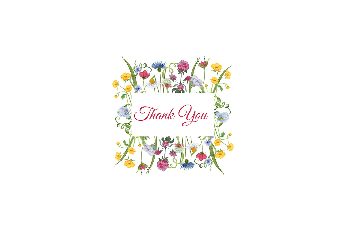 Summer Watercolor Wild Flowers, a Seasonal Illustration by s.yanyeva (Photo 11 of 11)