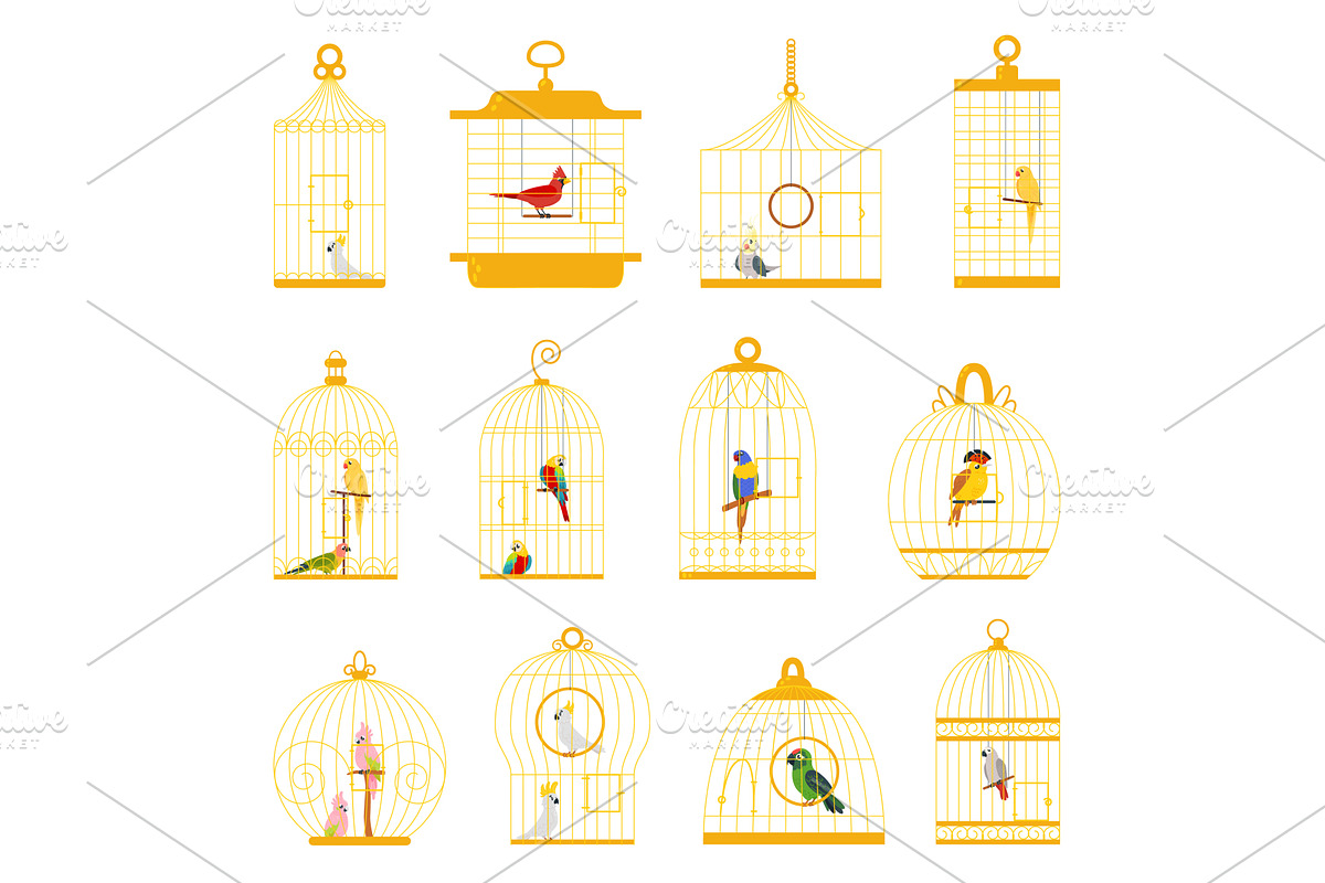 Birds in cages. Cartoon bird in, an Animal Illustration by LadadikArt