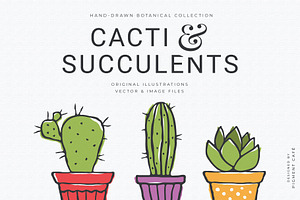 Cacti & Succulents Graphics Bundle
