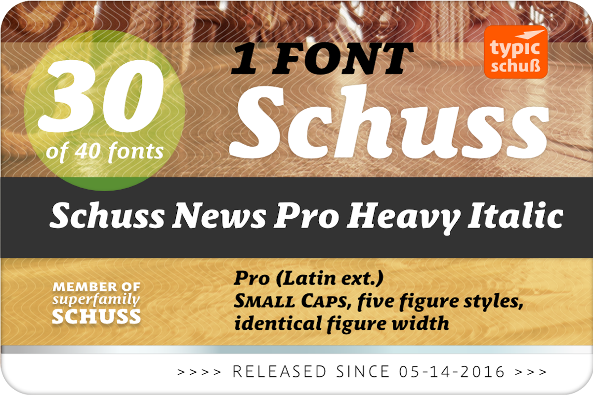 SchussNewsProHeavyIta No.30 (1 Font) preview 2