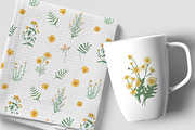 Wild flowers,herbs,herbaceous plants, a Texture Illustration by Good Studio (Thumbnail 10 of 22)