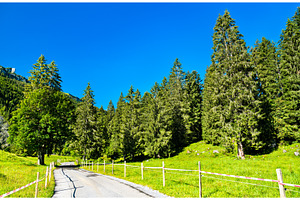 Road in the Obersee Valley in, a Nature Photo by Leonid Andronov