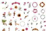Flower collection, home plants, a Decorative Illustration by Yana_mide (Thumbnail 9 of 10)