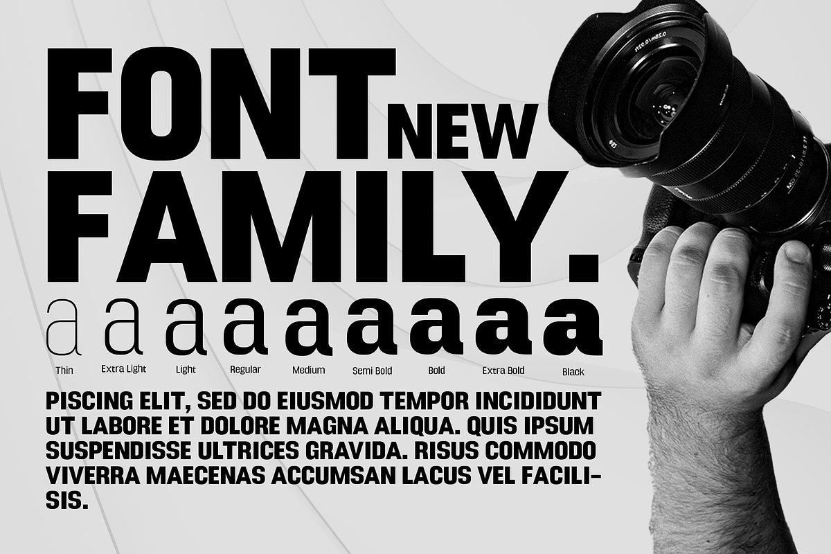 DTF Boldica, a Sans Serif Font by Dora Typefoundry (Photo 9 of 13)