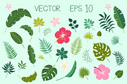 Tropical Set + Bonus Patterns, a Decorative Illustration by Imaginasty (Thumbnail 2 of 4)