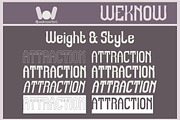 Attraction font, a Font by weknow (Thumbnail 8 of 8)