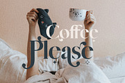Vicky Christina Ligature Serif Font, a Serif Font by SilverStag Type Foundry (Thumbnail 11 of 25)
