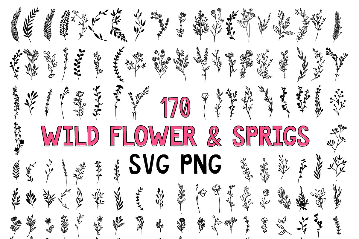 170 Wildflowers Line Art Botanicals, an Illustration by LifestyleCraftCo (Photo 1 of 7)