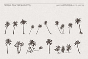 Tropical Palm Tree Silhouettes, an Object Illustration by TheMountBirdStudio (Thumbnail 5 of 6)