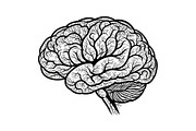 Brain Tree Knowledge Design Bundle, an Illustration by Gaye Art (Thumbnail 23 of 31)