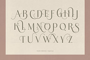 Tremella - Modern Branding Font, a Serif Font by creativemedialab (Thumbnail 10 of 10)