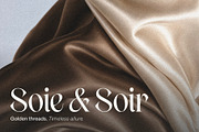 Glasty — A Calligraphic Serif, a Serif Font by nirfonic (Thumbnail 5 of 12)