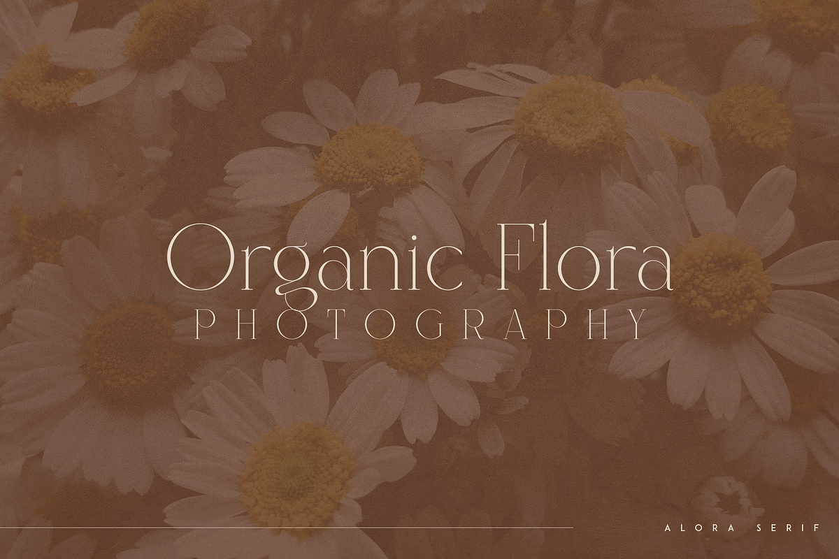 Alora - serif typeface | 4 fonts, a Serif Font by Only Fonts (Photo 2 of 10)