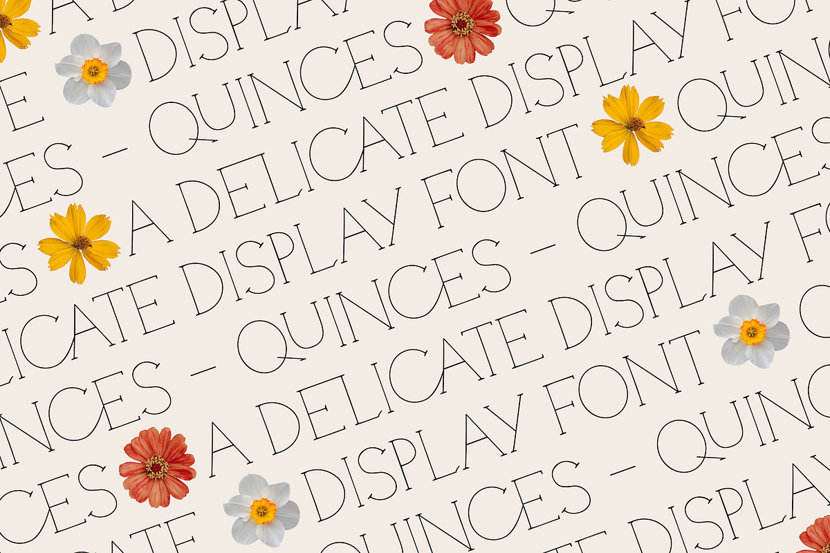 Quinces – A Delicate Display Serif, a Serif Font by Local Desk Designstudio (Photo 1 of 11)