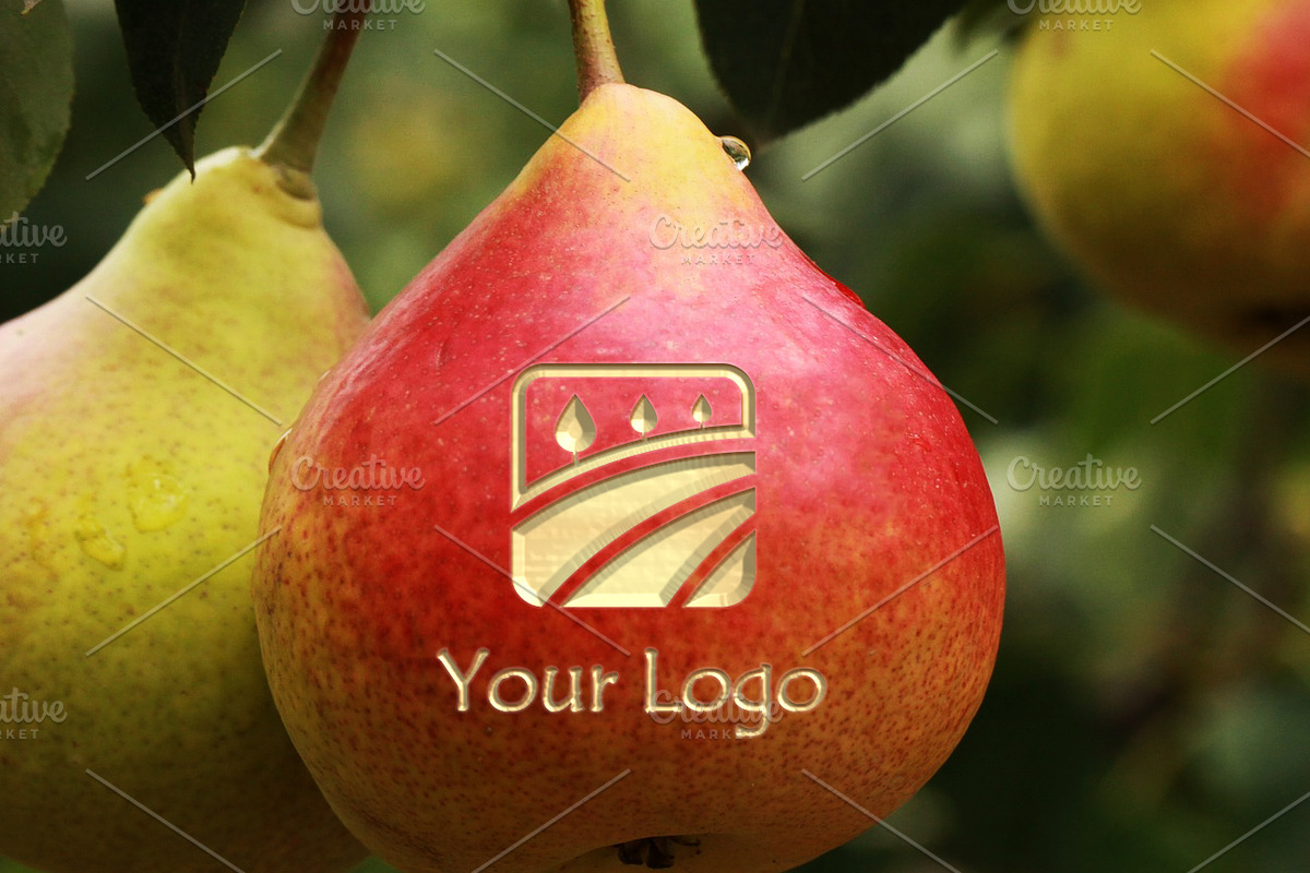 Red Apple mockup + (2 mockups), a Mockup by Piro Concept (Photo 3 of 3)