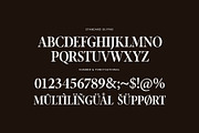 Mario Elegant Serif Font Typeface, a Serif Font by Perfectype (Thumbnail 7 of 7)