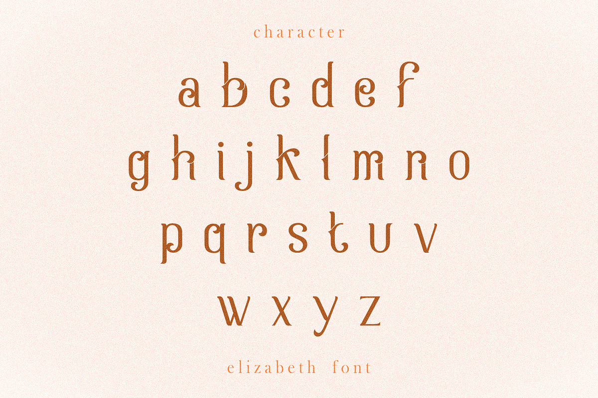 Elizabeth, a Serif Font by Umitype (Photo 9 of 11)