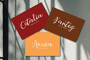 Retafia Script, a Handwritten Font by Eltypesstudio (Thumbnail 9 of 10)