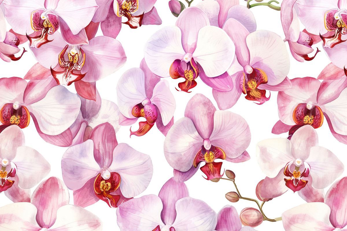 Orchids flower pattern and elements, a Decorative Illustration by irina.vaneeva (Photo 2 of 6)