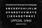 TAN - OFFICIAL, a Sans Serif Font by TanType (Thumbnail 11 of 11)