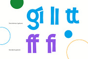 Barmkin, a Symbol Font by yumnatype (Thumbnail 9 of 10)
