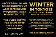 ED Pinehouse Vintage Serif, a Serif Font by Emyself Design (Thumbnail 3 of 10)