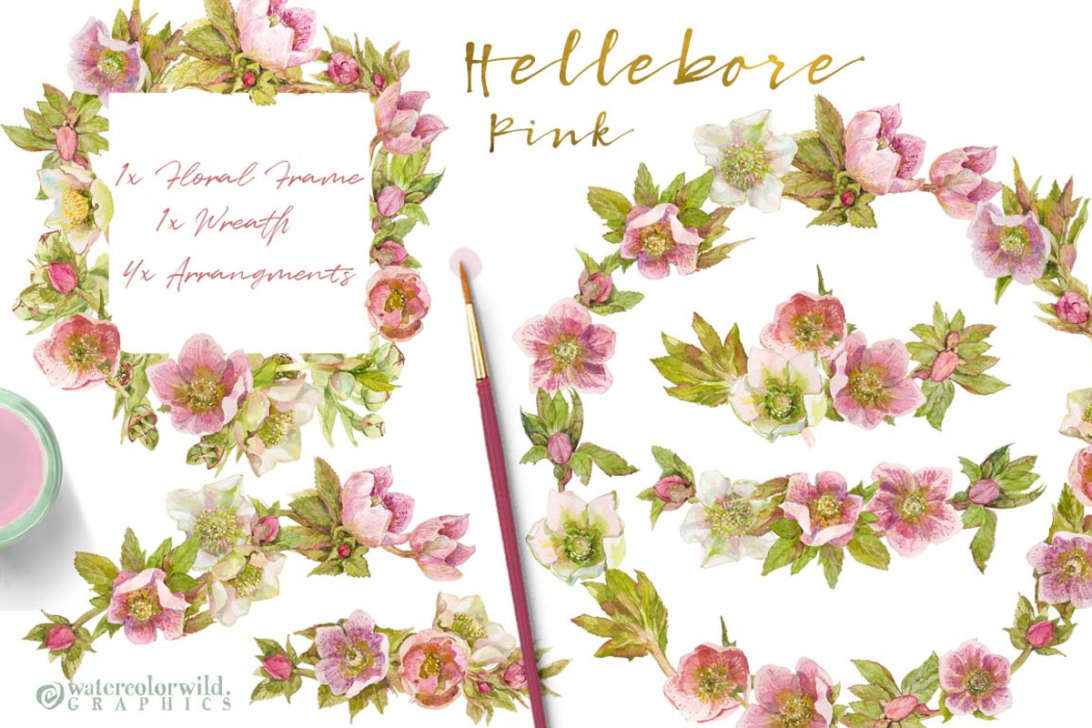 Pink Hellebore-Floral Clipart, an Illustration by watercolorwild.graphics (Photo 4 of 6)
