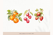 Watercolor Fruit Clipart, Fresh PNG, a Decorative Illustration by illuztrate (Thumbnail 2 of 13)