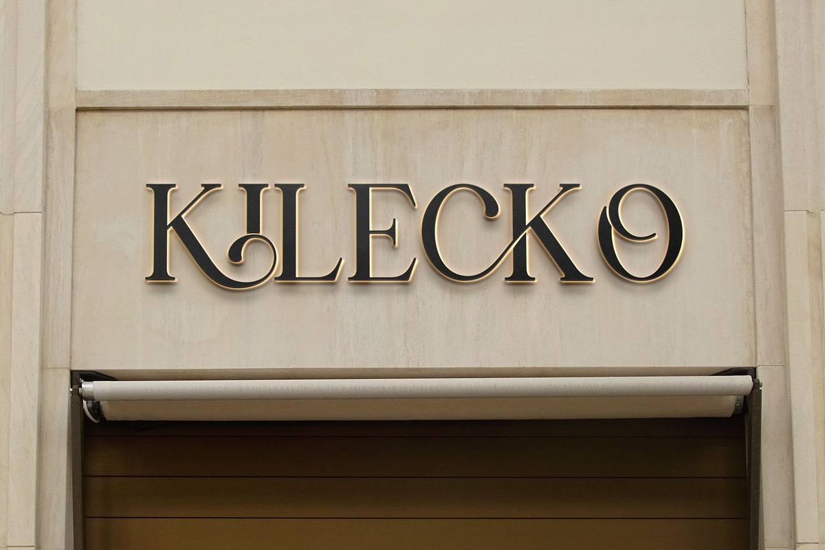 Qanlice || Modern Minimalist Serif F, a Serif Font by Ermedia Studio (Photo 6 of 10)