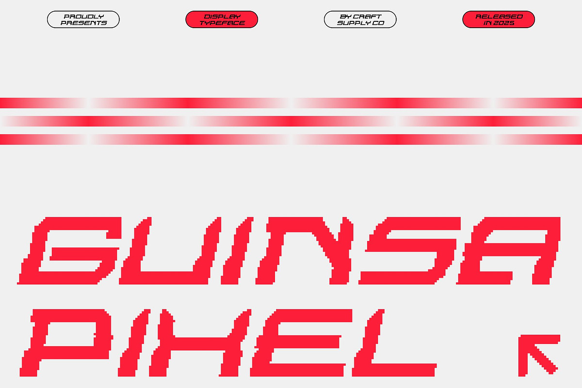 Guinsa Pixel, a Sans Serif Font by Craft Supply Co. (Photo 1 of 8)