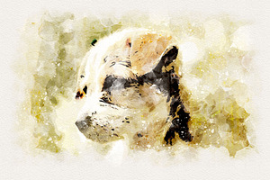 Watercolor - Photoshop Action