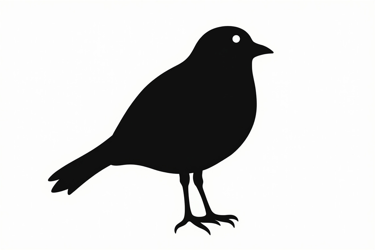 Bird Silhouette design bundle, an Illustration by BIPLOB EXPERT (Photo 3 of 13)