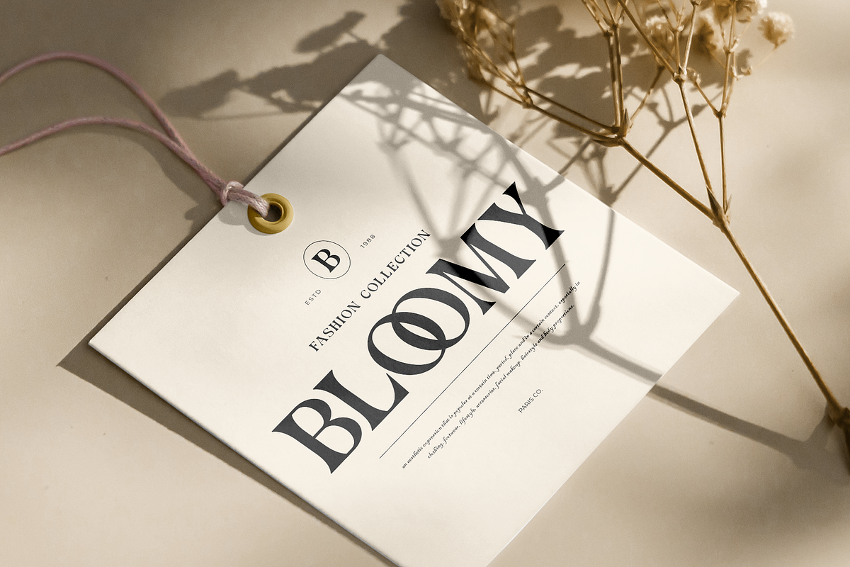 Virey- Modern Elegant Serif, a Serif Font by StoricType (Photo 2 of 11)
