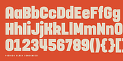 Yoshida Sans, a Sans Serif Font by TypeUnion (Thumbnail 3 of 10)