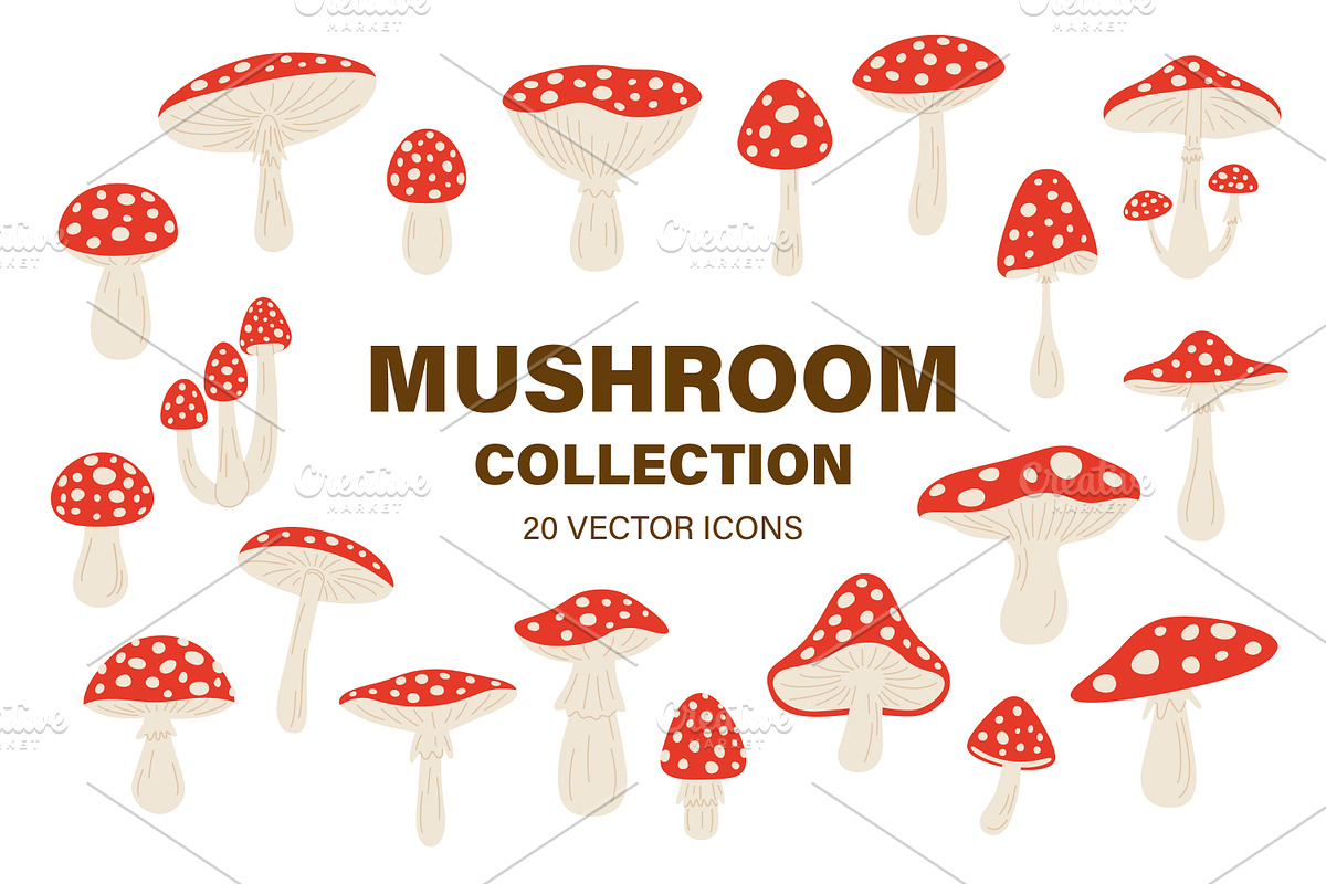 Mushroom Vector Collection, an Object Graphic by Gomolach