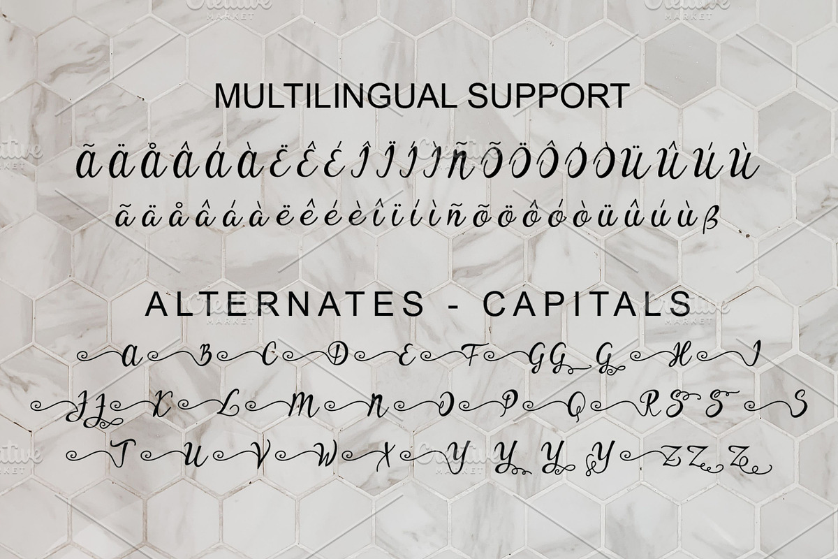 Ypsyllon, a Script Font by Digital Typeface Studio (Photo 3 of 8)