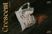 Felonia – Classic Serif, a Serif Font by Craft Supply Co. (Thumbnail 6 of 8)