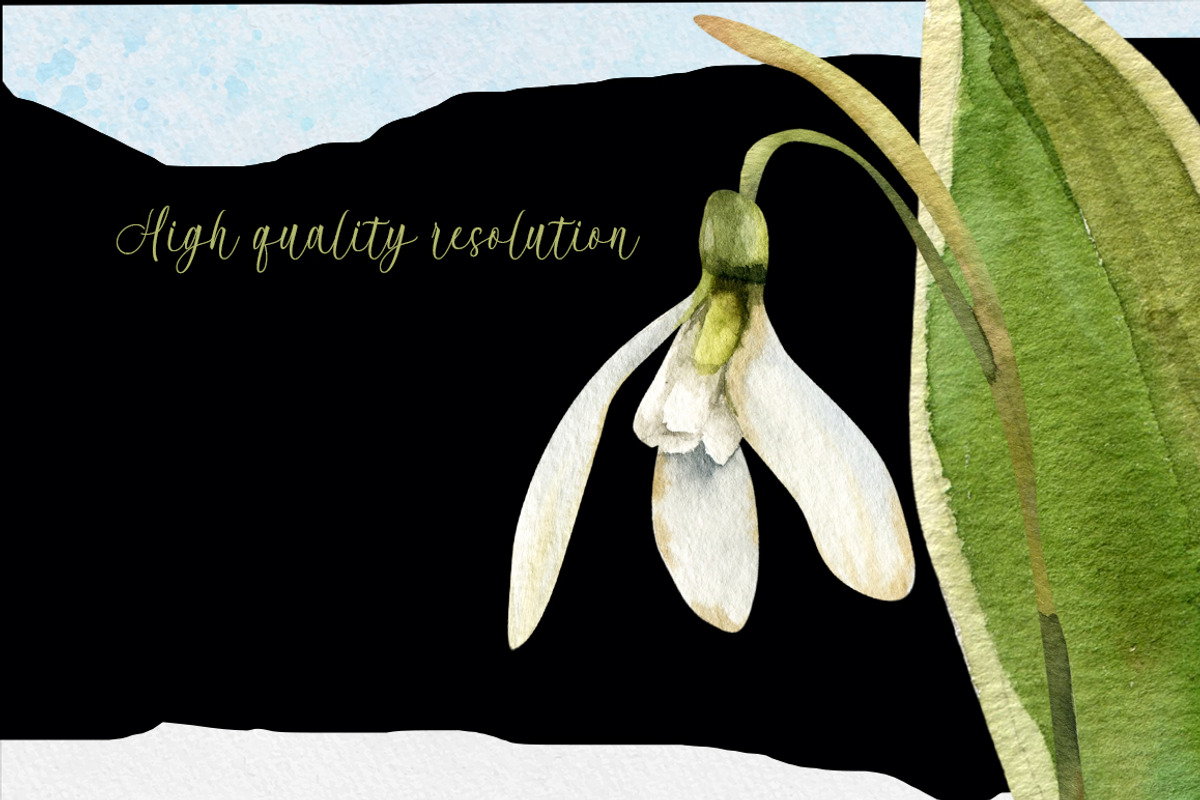 Snowdrops flowers watercolor clipart, a Decorative Illustration by Pegion art shop (Photo 3 of 11)