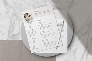 Elegant Resume Template Ana