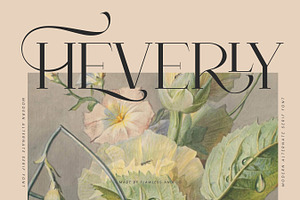 Heverly-Modern Alternate Serif Font