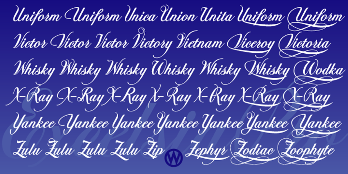 Excelsia Pro, a Script Font by Wiescher-Design (Photo 10 of 11)