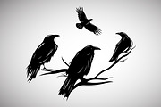 Crows sitting on a dry tree vector, an Object Graphic by Ghagra (Thumbnail 1 of 4)