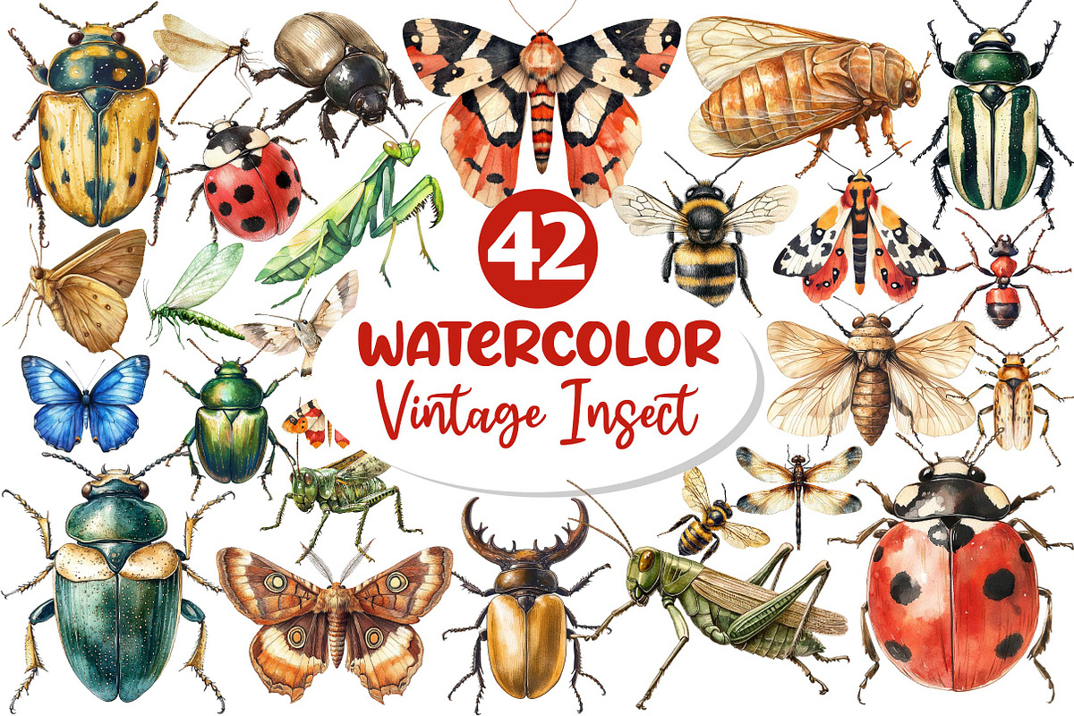 Vintage Insect Sublimation Clipart, an Illustration by Dream Creation (Photo 1 of 7)