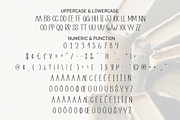 Book History | Script Font, a Script Font by Scratchones (Thumbnail 7 of 8)