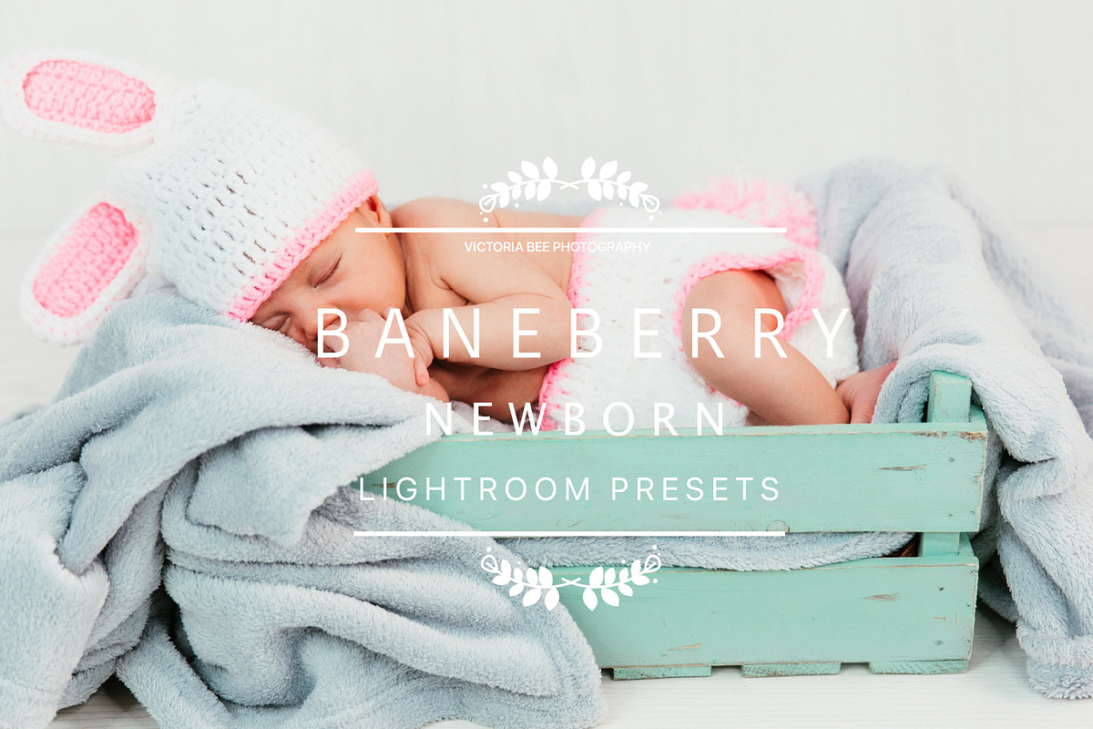 Desktop Lightroom Presets BANEBERRY