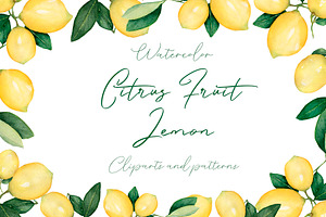 Watercolor Citrus Fruit Lemon