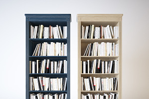 Shelves With Books