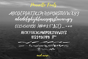 Pennello Script, a Script Font by QueenType (Thumbnail 10 of 10)