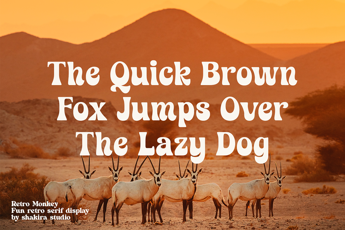 Retro Monkey - Modern Retro Serif, a Serif Font by Shakira Studio (Photo 11 of 12)