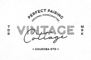 Silverstone Vintage Retro Font Duo, a Sans Serif Font by Ghuroba Studio (Thumbnail 7 of 7)